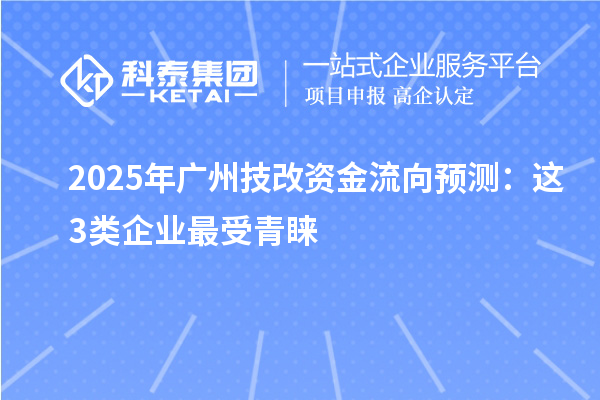 2025年廣州技改資金流向預(yù)測(cè)：這3類(lèi)企業(yè)最受青睞