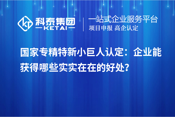 國家專精特新小巨人認定：企業(yè)能獲得哪些實實在在的好處？