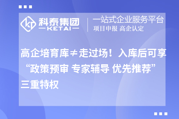 高企培育庫≠走過場！入庫后可享“政策預審+專家輔導+優(yōu)先推薦”三重特權