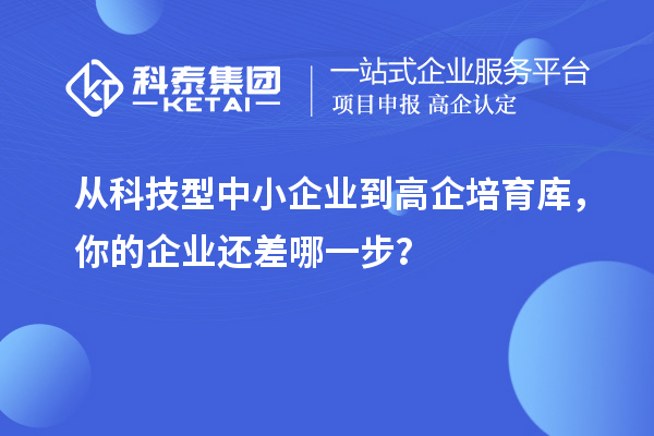 從科技型中小企業(yè)到高企培育庫，你的企業(yè)還差哪一步？