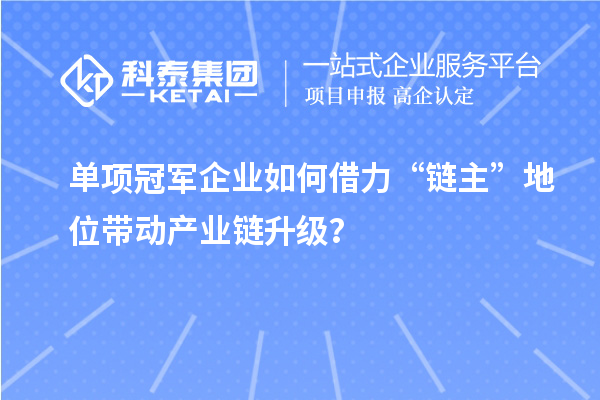 單項(xiàng)冠軍企業(yè)如何借力“鏈主”地位帶動(dòng)產(chǎn)業(yè)鏈升級(jí)？