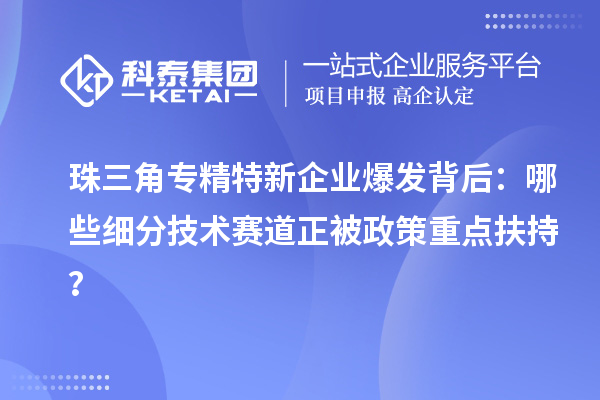 珠三角專精特新企業(yè)爆發(fā)背后：哪些細(xì)分技術(shù)賽道正被政策重點扶持？
