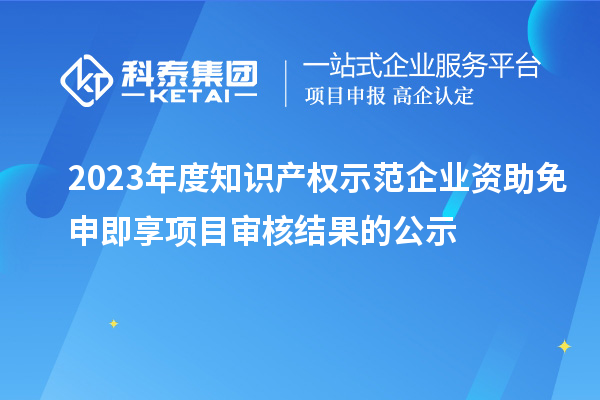 2023年度知識(shí)產(chǎn)權(quán)示范企業(yè)資助免申即享項(xiàng)目審核結(jié)果的公示