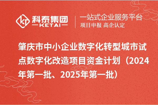 肇慶市中小企業(yè)數(shù)字化轉型城市試點數(shù)字化改造項目資金計劃（2024年第一批、2025年第一批）