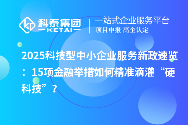 2025科技型中小企業(yè)服務新政速覽：15項金融舉措如何精準滴灌“硬科技”？