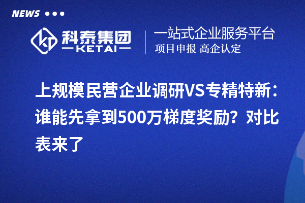上規(guī)模民營企業(yè)調(diào)研VS專精特新：誰能先拿到500萬梯度獎勵？對比表來了