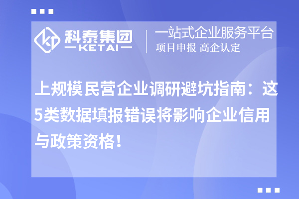 上規(guī)模民營(yíng)企業(yè)調(diào)研避坑指南：這5類數(shù)據(jù)填報(bào)錯(cuò)誤將影響企業(yè)信用與政策資格！