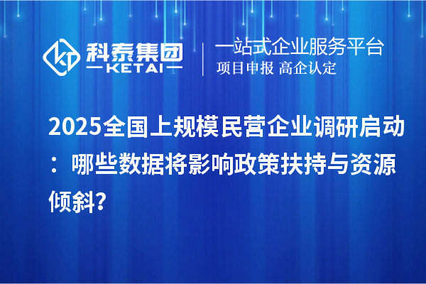2025全國(guó)上規(guī)模民營(yíng)企業(yè)調(diào)研啟動(dòng)：哪些數(shù)據(jù)將影響政策扶持與資源傾斜？