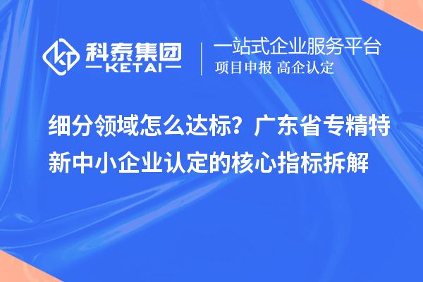 細分領(lǐng)域怎么達標？廣東省專精特新中小企業(yè)認定的核心指標拆解
