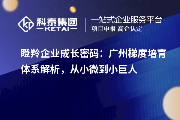 瞪羚企業(yè)成長密碼：廣州梯度培育體系解析，從小微到小巨人