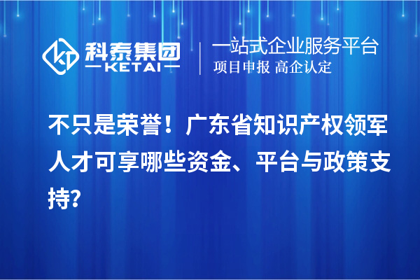 不只是榮譽！廣東省知識產(chǎn)權領軍人才可享哪些資金、平臺與政策支持？