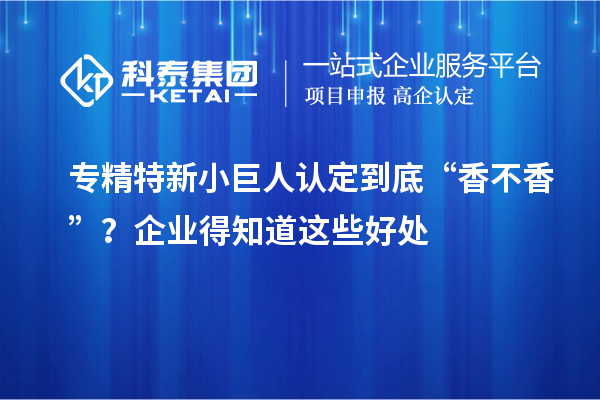 專精特新小巨人認(rèn)定到底“香不香”？企業(yè)得知道這些好處