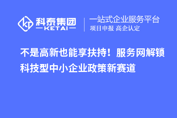 不是高新也能享扶持！服務(wù)網(wǎng)解鎖科技型中小企業(yè)政策新賽道