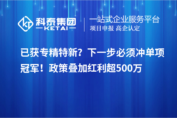 已獲專精特新？下一步必須沖單項冠軍！政策疊加紅利超500萬