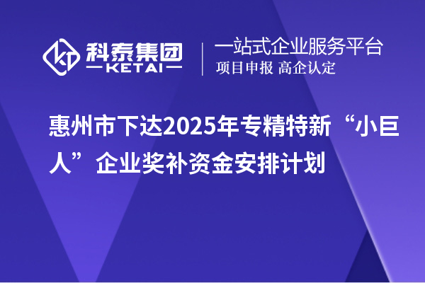 惠州市下達2025年專精特新“小巨人”企業(yè)獎補資金安排計劃