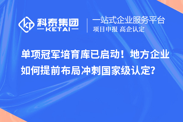 單項冠軍培育庫已啟動！地方企業(yè)如何提前布局沖刺國家級認定？