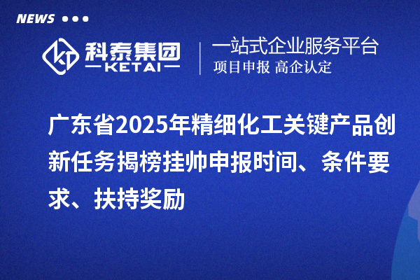 廣東省2025年精細(xì)化工關(guān)鍵產(chǎn)品創(chuàng)新任務(wù)揭榜掛帥申報(bào)時(shí)間、條件要求、扶持獎(jiǎng)勵(lì)