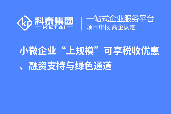 小微企業(yè)“上規(guī)模”可享稅收優(yōu)惠、融資支持與綠色通道