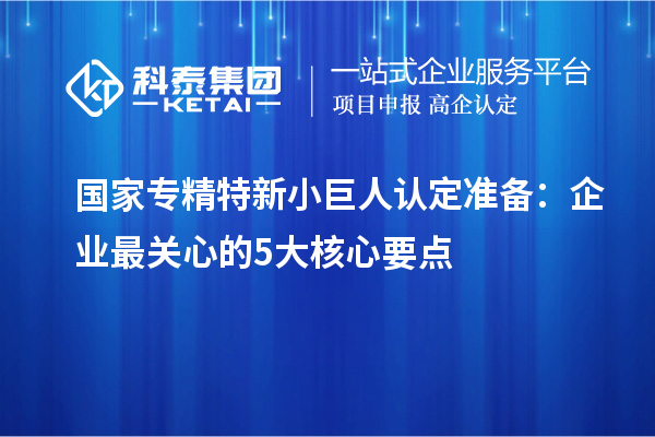 國(guó)家專精特新小巨人認(rèn)定準(zhǔn)備:企業(yè)最關(guān)心的5大核心要點(diǎn)