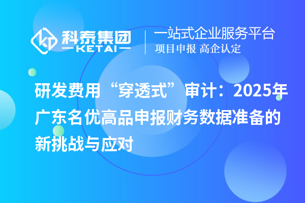 研發(fā)費用“穿透式”審計：2025年廣東名優(yōu)高品申報財務(wù)數(shù)據(jù)準備的新挑戰(zhàn)與應(yīng)對
