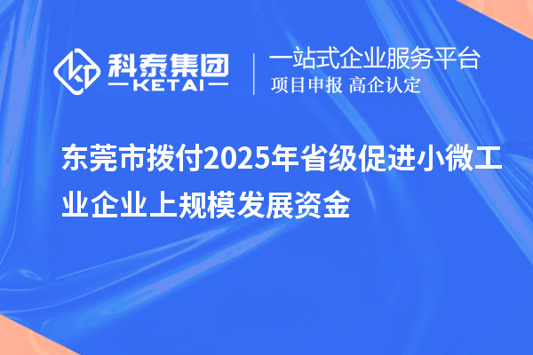東莞市撥付2025年省級(jí)促進(jìn)小微工業(yè)企業(yè)上規(guī)模發(fā)展資金