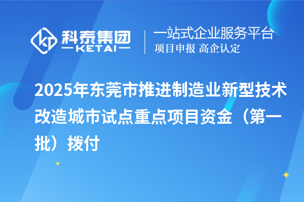 2025年東莞市推進制造業(yè)新型技術(shù)改造城市試點重點項目資金（第一批）撥付