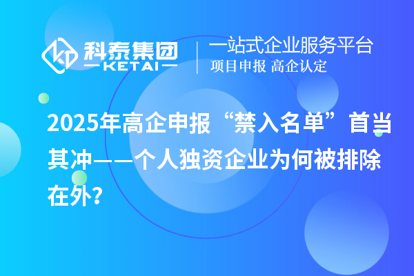 2025年高企申報“禁入名單”首當(dāng)其沖——個人獨資企業(yè)為何被排除在外？