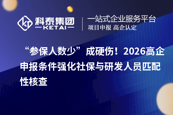 “參保人數(shù)少”成硬傷！2026高企申報條件強化社保與研發(fā)人員匹配性核查