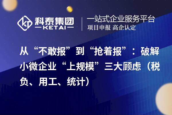 從“不敢報”到“搶著報”：破解小微企業(yè)“上規(guī)模”三大顧慮（稅負(fù)、用工、統(tǒng)計）