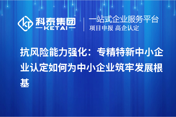 抗風(fēng)險能力強(qiáng)化：專精特新中小企業(yè)認(rèn)定如何為中小企業(yè)筑牢發(fā)展根基