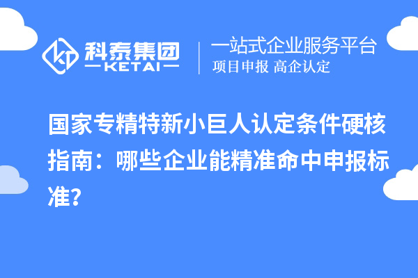國家專精特新小巨人認(rèn)定條件硬核指南：哪些企業(yè)能精準(zhǔn)命中申報標(biāo)準(zhǔn)？