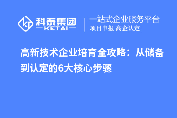 高新技術企業(yè)培育全攻略：從儲備到認定的6大核心步驟