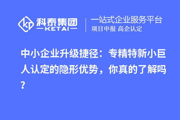 中小企業(yè)升級捷徑：專精特新小巨人認定的隱形優(yōu)勢，你真的了解嗎？