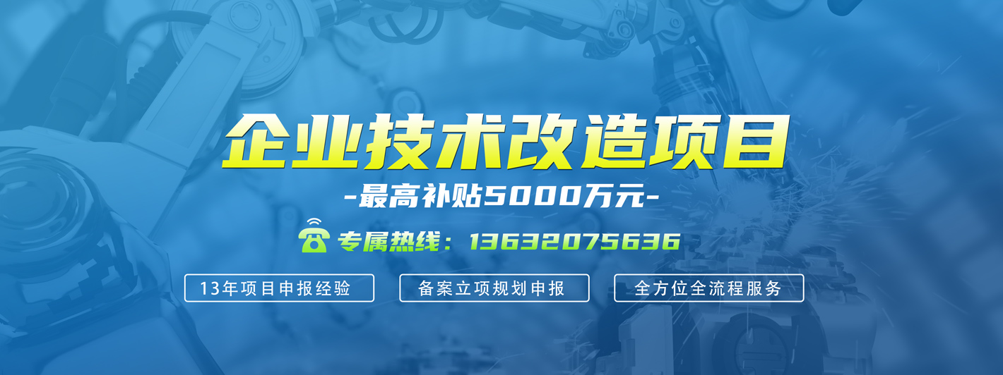 企業(yè)技術(shù)改造項目申報